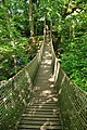 Die Hängebrücke bei der Gibbon-Insel