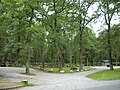 Un parc avec des chênes.