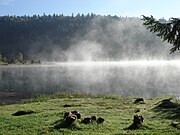 Lac Genin