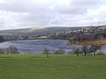 Image 19Bottoms (from Longdendale Chain)