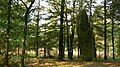 Menhir de Colého