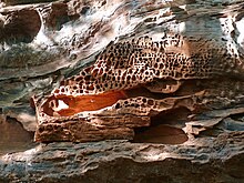 Érosion du grès à L'Erbsenfelsen