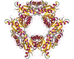 Nicotinamidnukleotid-Adenylyltransferase