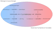 Vignette pour Mémoire (psychologie)