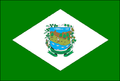 Bandeira de Esperança do Sul