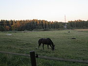 Malminkartano’s horse stable