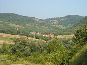 Cârjiți