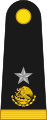 General brigadier (Mexican Army)[२७]