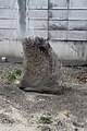 香具波志神社上田秋成先生墓