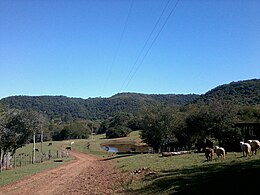 São Francisco de Assis – Veduta