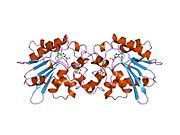 1tip: THE BISPHOSPHATASE DOMAIN OF THE BIFUNCTIONAL RAT LIVER 6-PHOSPHOFRUCTO-2-KINASE/FRUCTOSE-2,6-BISPHOSPHATASE