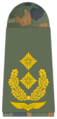 লুটওয়াফ (General-major)