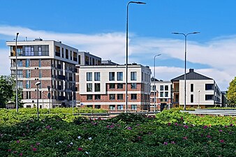 Maisons du quartier Uus-Veerenni