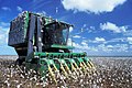 Picking Cotton in the USA --- இயந்திரம் மூலம் அமெரிக்காவில் பருத்தி யெடுத்தல்