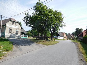 Bačalky