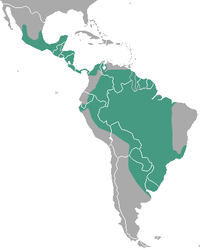 Distribución da especie.