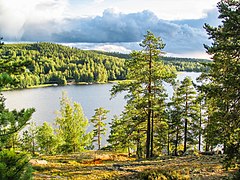 ユヴァスキュラ・ムーラツァロ地区のサタサルヴィネン丘から望む