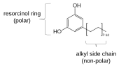 Thumbnail for Alkylresorcinol