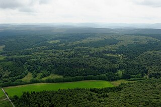 Der Obere Arnsberger Wald aus Richtung Warstein gesehen.