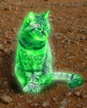 An artist's impression of a ray cat