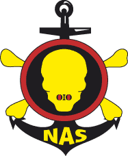 NAS logo.gif