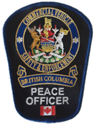 Current shoulder patch of the CVSE