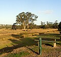 Dandenong Creek.