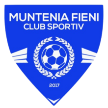 CSM Fieni logo.png