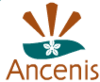 Ancenis