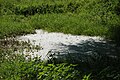 Waterpool in G'n Hèl