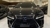 2020 Lexus 凌志 NX