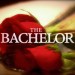 The Bachelor