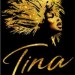 Tina-The-Tina-Turner-Musical