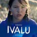 Ivalu