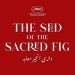 The Seed of the Sacred Fig