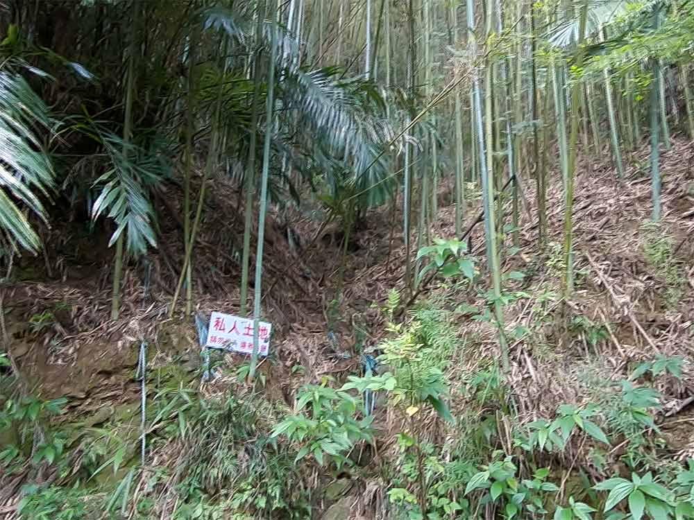 防秋颱 山區雨量監測