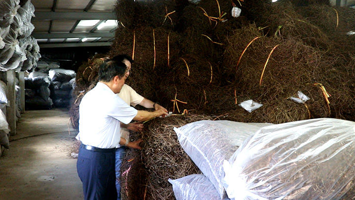 關西仙草濃醇香 父子攜手再創生機