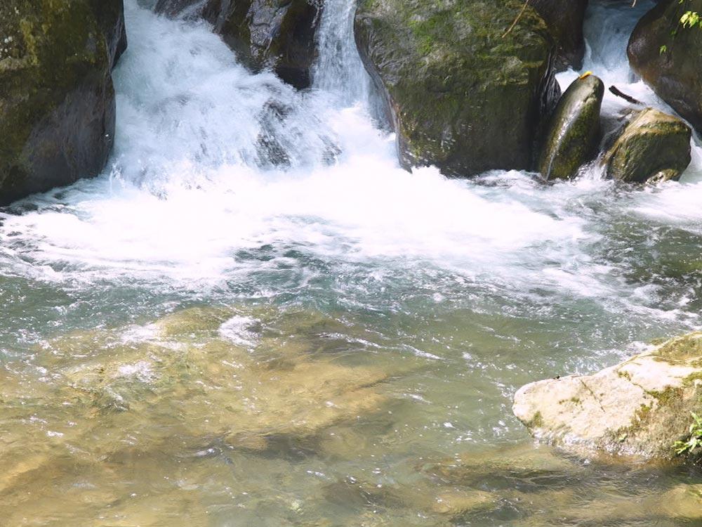 溯溪活動 夏季熱門